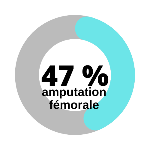 Statistique sur le type d'amputation - offrir du sport aux personnes amputées